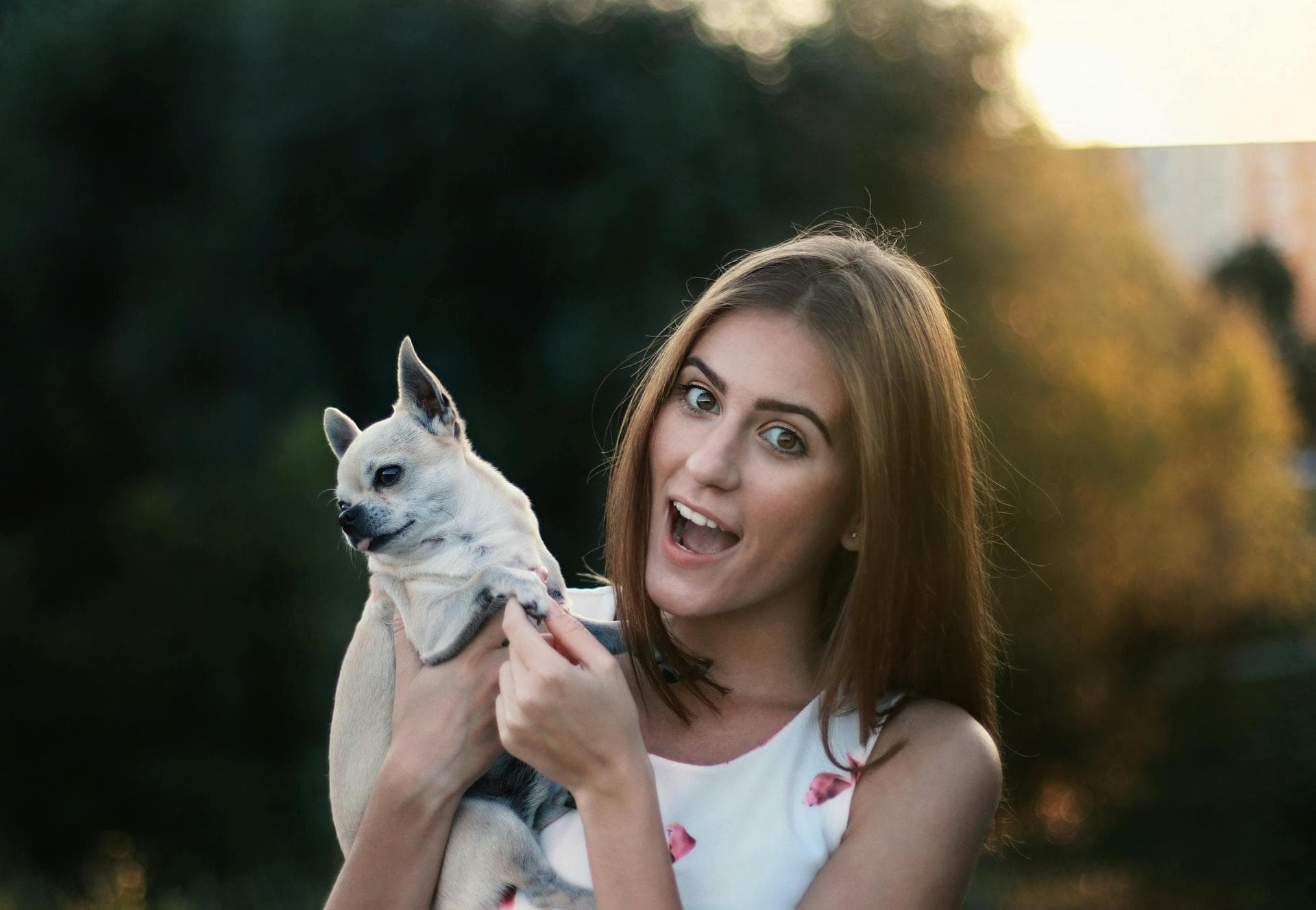 Specialist Vets in Virginia Beach